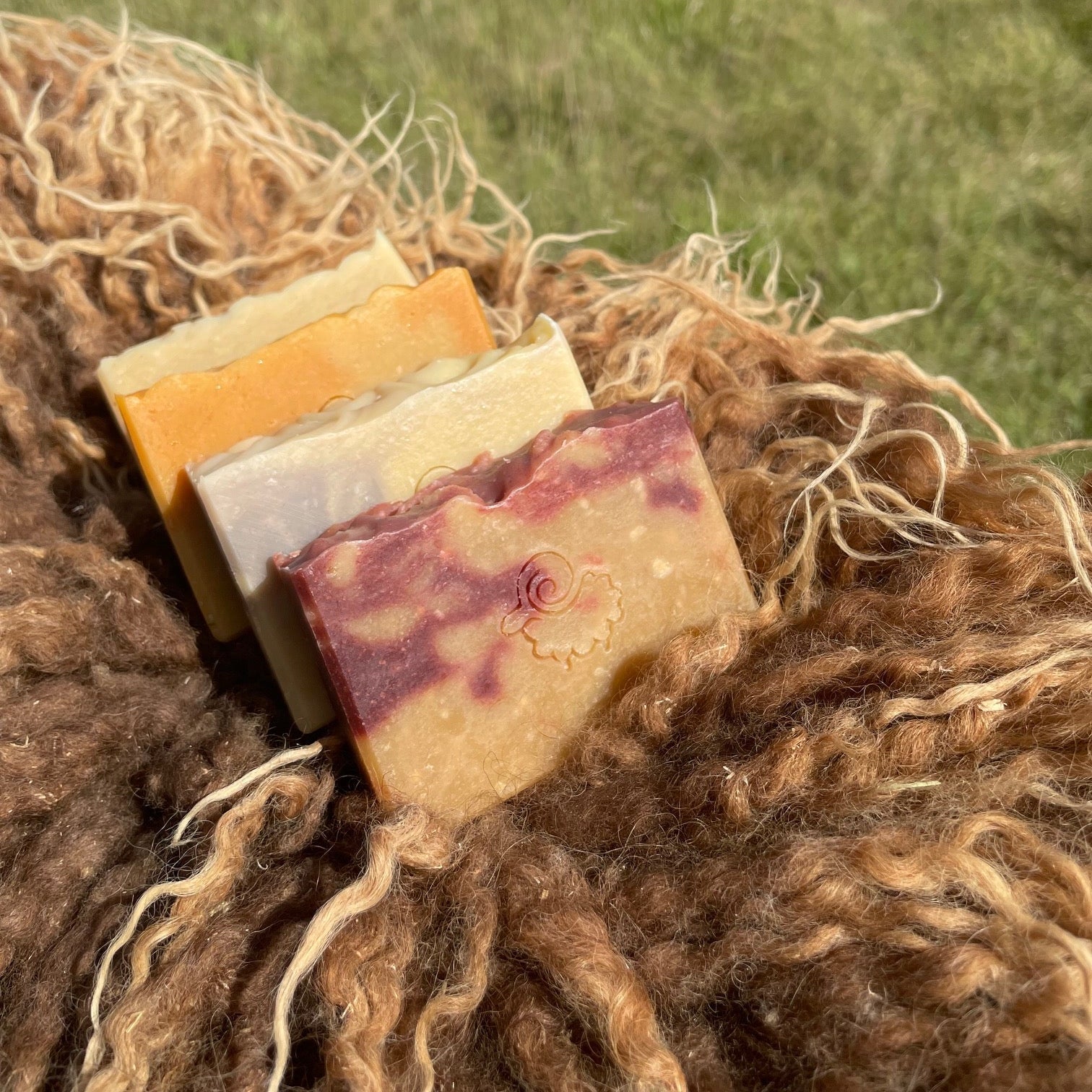 Sheep's milk soap