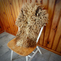 Brown icelandic sheepskin - small